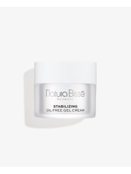 Stabilizing Oil-free...